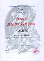 Český junior šampion<